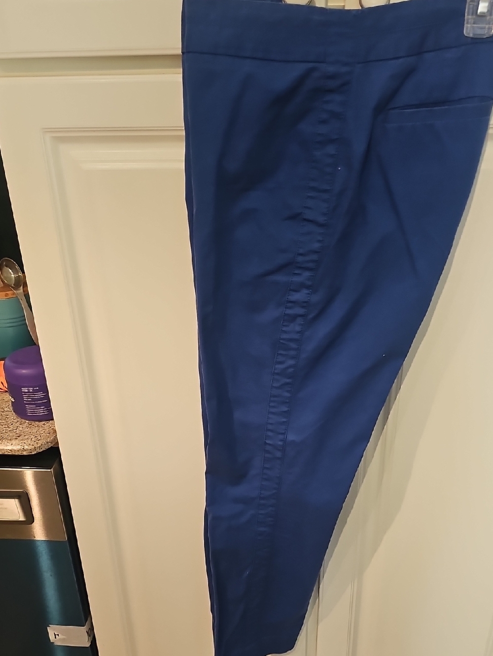 Anne Klein Bright Blue Pants